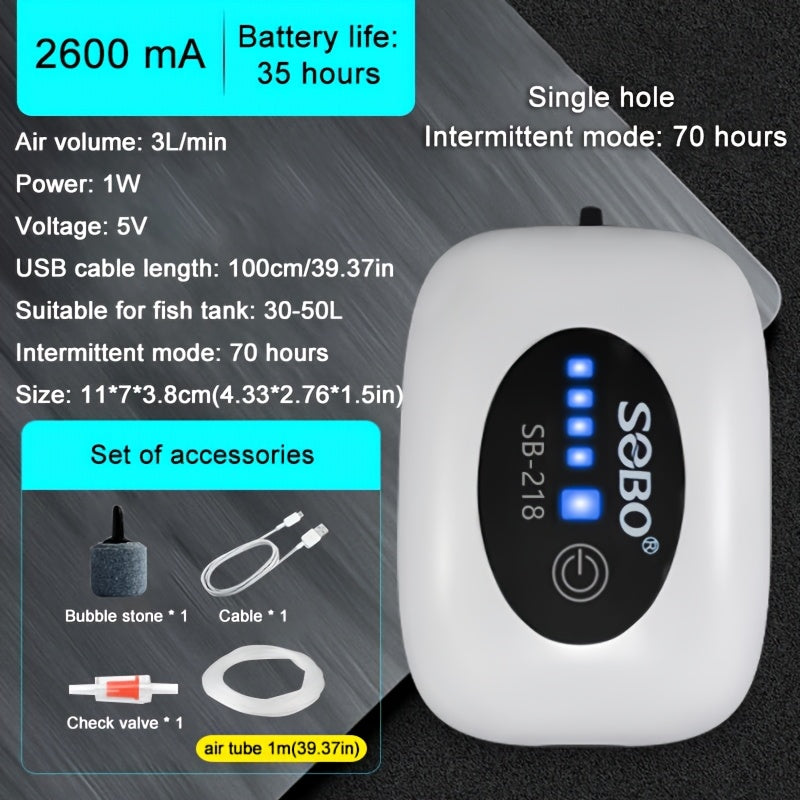 Pompe à air rechargeable