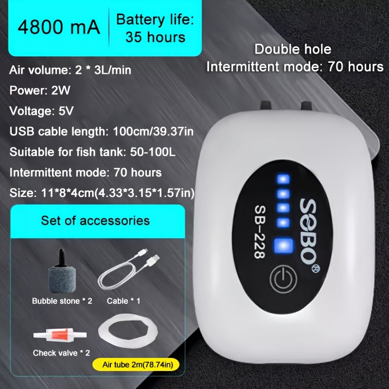 Pompe à air rechargeable